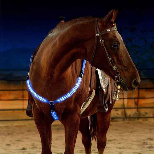 Smart App Control Led Strip Lights – Equestrian Light Strip - side angle view
