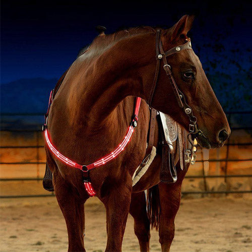 Smart App Control Led Strip Lights – Equestrian Light Strip - full kit and accessories