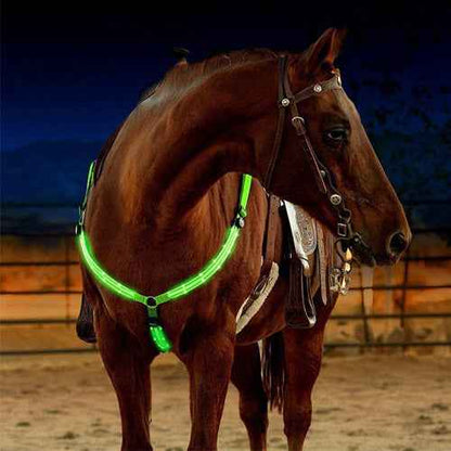 Smart App Control Led Strip Lights – Equestrian Light Strip - LED Strip Lights product overview